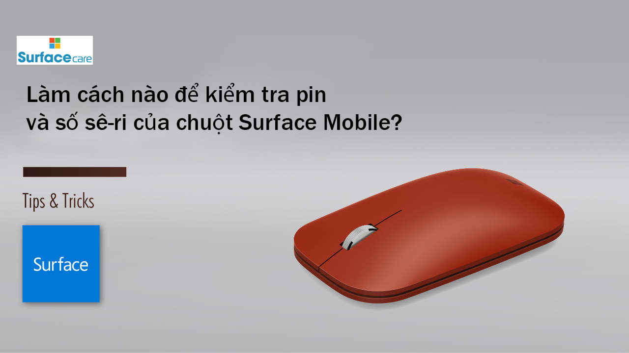 Chuột Surface